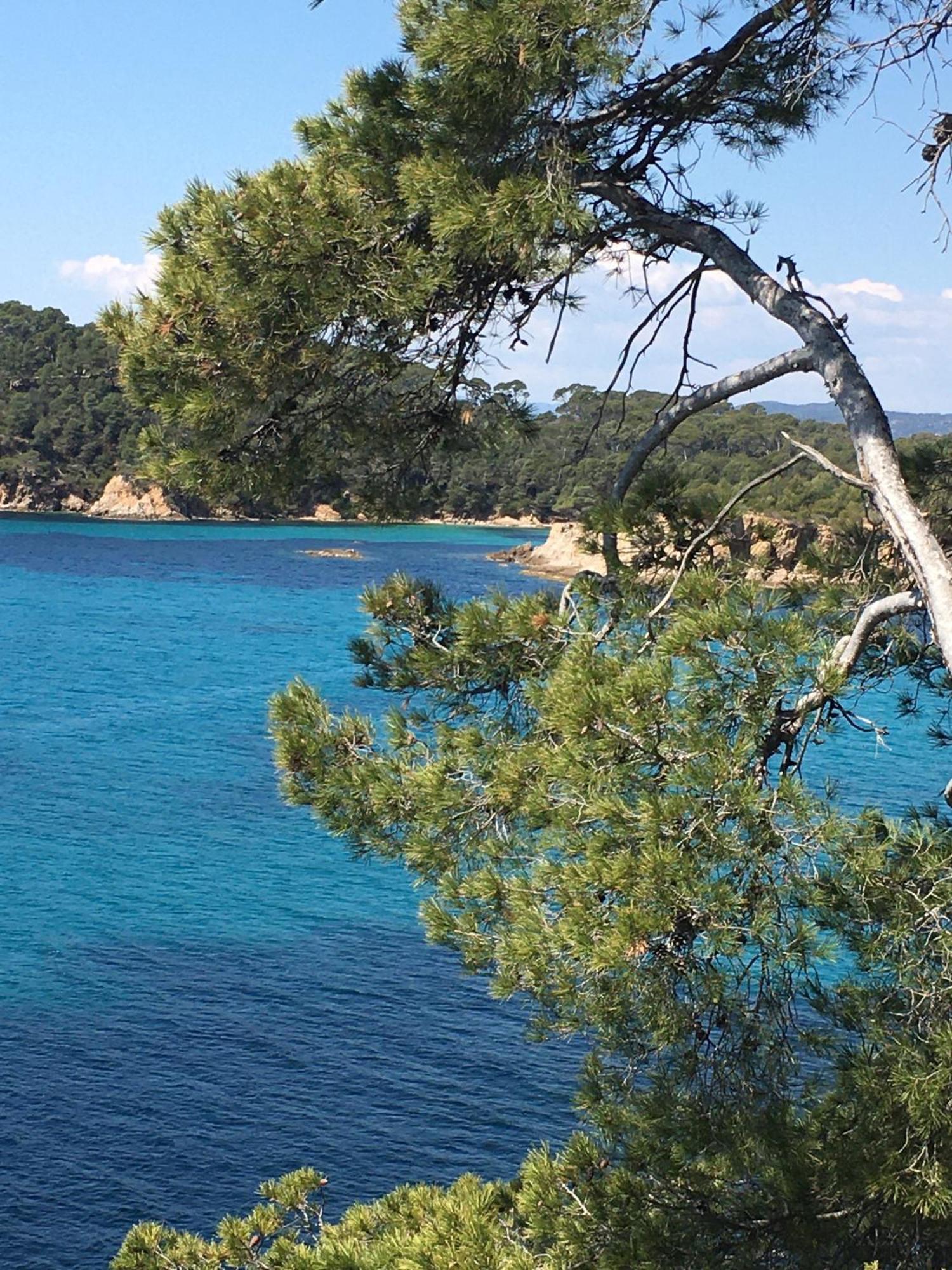 T3 Front De Mer Dernier Etage Vue Mer Petit Havre De Paix Pour Vos Vacances Emplacement Unique Vue Mer Panoramique A 180 Degres Pour Ce T3 En Face De La Plage Front De Mer Vue Sur Les Iles 5 Et Dernier Etage Avec Ascenseur Le Lavandou Esterno foto